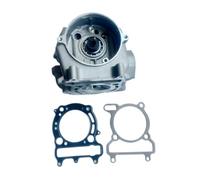 300 gruppi di testata con albero a camme e valvole compatibili con Linhai 250 260 300 Xinyang Gsmoon Xinyue ATV UTV BUGGY MOTORE PARTI