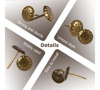 300 Pcs Flat Head Nail Decorative Tack Spilla Per Mobili Spillo Tappezzeria
