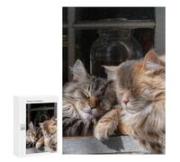 300 PCS Puzzle Per Adolescenti Cozy Cats on Windowsill Puzzle Per Adolescenti Analisi E Logica Difficile E Sfida Ideale Come Regalo 300 PCS