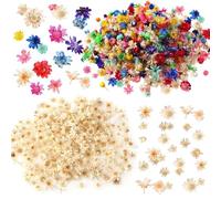 300 Pezzi Di Decorazioni Di Fiori Secchi, Mini Fiori, Fiori Secchi Per L'Artigianato, Decorazioni Di Fiori Secchi Fai-Da-Te, Possono Essere Usati Per Decorare Gioielli In Resina, Candele, Ecc.