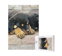 300 pezzi di piccoli puzzle di cani e cuccioli di Rottweiler che dormono con scatola di imballaggio per adulti - Puzzle in legno