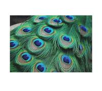 300 puzzle con piume di pavone verde, puzzle personalizzati in legno per adulti foto puzzle arte decorazione da parete per compleanno, matrimonio, San Valentino, anniversario
