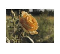 300 puzzle in fiore rosa gialla puzzle puzzle personalizzato in legno foto puzzle per adulti foto puzzle arte decorazione da parete per compleanno, matrimonio, San Valentino, anniversario