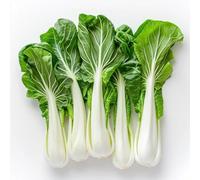 300 Semi di Cavolo Cinese Pak Choi - SemiSelvaggio Permacultura