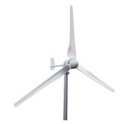 3000W 24V 48V Energy Off Grid System Orizzontale Turbine Eoliche Domestiche Generatore Eolico Power Windmil Con MPPT Controllerl(Wind Turbine Only-01,96V,3000W)