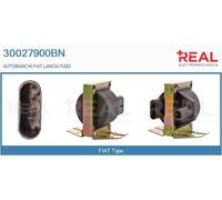30027900BN REAL Bobina d'accensione