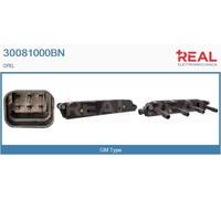 30081000BN REAL Bobina d'accensione per OPEL