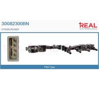 30082300BN REAL Bobina d'accensione per CITROËN,PEUGEOT