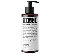 300ml STMNT Shampoo