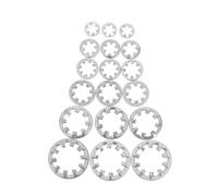 300pcs rondella di assortimento della rondella dente interna del kit stella in