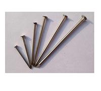 304 acciaio inossidabilechiodi yuan chiodi chiodi stranieri ferro chiodi rotondi 1 pollice 1,5 pollici 2 pollici 2,5 pollici 3 pollici-0,5 pollici 15 mm di lunghezza (materiale 316) 1 kg