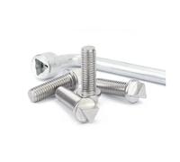 304 Stainless Steel M6 M8 M10 Outer Triangle Head Anti Theft Security Screws for Street Light Motor Box Guardrail(M10x20mm-5pcs)
