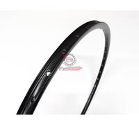 305620335 CERCHIO 29 MTB 36F DOPPIA CAMERA