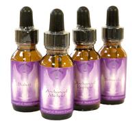 30ml Archangel & Ha Asceso Master Essenza Spray - Scegli il Tuo Aiuti