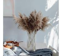 30pcs Erba di Pampa Essiccata Naturale, Bouquet Boho per Decorazioni | Steli Naturali Secchi, Stile Boho Chic, Decorazione Casa, Composizione Floreale, Tono Beige Naturale