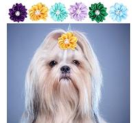 30Pcs Fiocchi di Fiori per Animali da Compagnia, Simpatici di Cane Decorazione Daisy Accessori per toelettatura per Cani di Taglia Media di Piccola Taglia
