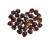 30pcs Realistic Artificial Chestnuts Foam Nut Models Lightweight Fake Nuts Decorations for Home Fall Harvest Display Craft Photography Props