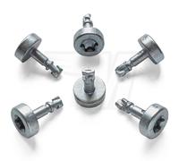 30X Clips Per Viti Torx Per BMW E87 E90 E91 E60 E61 E63 | 11127531561