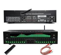 31 Band Graphic Equalizer, Digital Audio Processor con LED Spectrum Analyzer, Riduzione del Rumore, Ingresso USB coassiale Ottica per Home Theater KTV Studio Sound Enhancement