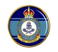 31 Squadron Rnzaf New Zealand Air Force Spilla