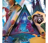 311 - Universal Pulse