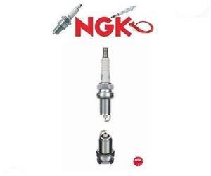 3116 Candela accensione (NGK NTK)