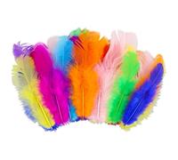 315 Pezzi Piume per Artigianato, Piume Decorative, Piume per Fai da Te Colorate, per Cameretta Fai da Te, Decorazioni per Festa di Nozze, Orecchini, Artigianato