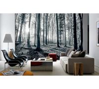 315x232cm Gigante Murale Parato Nero e Bianco Foresta Alberi Camera da Letto