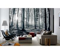 315x232cm Gigante Murale Parato Nero e Bianco Foresta Alberi Camera da Letto