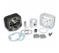316926 GRUPPO TERMICO MALOSSI GILERA ICE 50 2T IN GHISA DIAMETRO 47 SPINOTTO 12