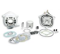 318460 GRUPPO TERMICO MALOSSI MHR 70CC D.47,6 MINARELLI ORIZZONTALE H2O SP.12 ALLUMINIO