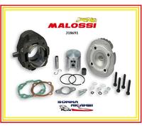 318691 GRUPPO TERMICO CILINDRO MALOSSI 102CC D.55 PIAGGIO VESPA SPECIAL PK XL 50