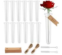 32 provette per fiori, 24 mm x 11 cm, trasparenti, provette in plastica con coperchio, ideali per composizioni floreali e decorazioni per piante
