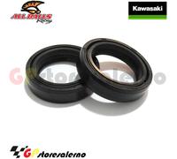 32531 KIT PARAOLI FORCELLA 35x48x11 ALL BALLS KAWASAKI 175 KE 1980