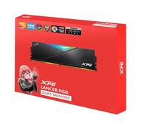 32GB ADATA DIMM 8000 (2x 16 GB) Dual-Kit (schwarz, AX5U8000C3816G-DCLARBK, XPG Lancer RGB, INTEL XMP, AMD EXPO) (AX5U8000C3816G-DCLARBK)