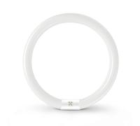 32W Tubo Fluorescente T9 Rotondo G10Q a Risparmio Energetico Tubo Al Neon Bianco