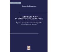 34 soluzioni a bivi di diritto civile e penale. Repertori giurisprudenziali e istituti giuridici per lo svolgimento dei pareri
