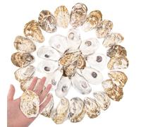35 conchiglie di ostriche piatte lunghe 7,6-10,2 cm, per artigianato, decorazioni nautiche per vasi, conchiglie sfuse per la decorazione domestica, artigianato fai da te, conchiglie di mare,