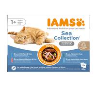 36 + 12 gratis! 48 x 85 g IAMS Advanced Nutrition - Adult Sea Mix in Salsa