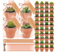 36 candele succulente tealight a forma di cactus per feste - candele succulente tealight, candele sfuse per bomboniere, candele tealight a forma di cactus con mini portacandele in argilla di