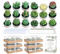 36 candele tealight a forma di cactus, mini candele succulente sfuse per regali di festa, candele profumate fatte a mano per ospiti, matrimoni, baby shower, compleanno, Natale