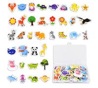 36 Pezzi Calamite da Frigo, Simpatici Magneti da Frigorifero per Animali Frigoriferi Deco, Giocattoli Magnetici per L'apprendimento Prescolare in Aula Scolastica Lavagne Bianche, Regali per Bambini