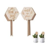 36 pezzi Watch Me Grow Etichette per piante grasse, Etichette per piante esagonali in legno Decorazioni per fioriere per verdure in vaso in serra