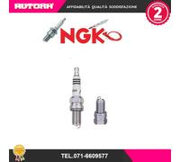 3606 Candela accensione DCR8EIX (MARCA NGK NTK)
