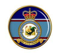 3620 Fighter Controllo Unità Rauxaf, Raf Spilla