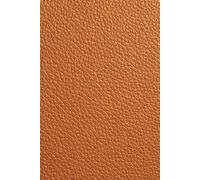 365-Day Journal - A Year of Thoughts: Gold/Brown Togo Leather-Inspired Cover Design Notebook | Lined Pages for Daily Notes and Reflections - With ... Gift for Someone Who Has Everything