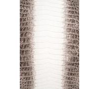 365-Day Journal - A Year of Thoughts.: Himalayan Crocodile Skin-Inspired Cover Design | Lined Pages for Daily Notes and Ideas - With Monthly Inspirational Quotes.