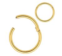 365 Sleepers acciaio chirurgico 316L unisex setto trago elica segmento incernierato naso labbro anello orecchini a cerchio gioielli penetranti per il corpo 20G 18G 16G 14G 12G 10G 8G 6G