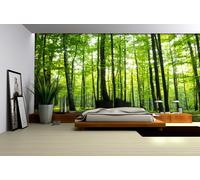 368x254 CM Gigante Carta da Parati Murale Verde Sumer Foresta Scena Alberi Decor