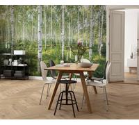 368x254cm Gigante Carta da Parati Fotografica Soggiorno Giorno Soleggiato Forest
